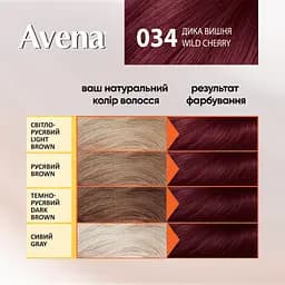 Уцінка. Cтійка крем-фарба для волосся Avena Gloss Color махагон 33 138 мл  - мініатюра 4