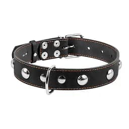 Нашийник Collar одинарний з прикрасами (ширина 35мм довжина 48-63см) чорний - мініатюра 2