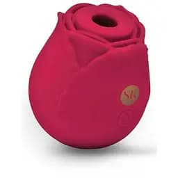 Стимулятор клітора Rosegasm Air силіконовий, що перезаряджається.