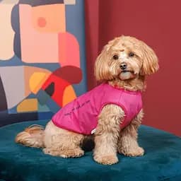 Майка-борцовка Kale Pet Fashion для собак S малинова - мініатюра 4