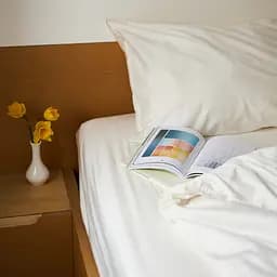 Простыня MBM HOME Лед под солнцем 240x260см BL-FS-55 ледяной (BL-FS-55 ICE)
