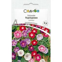 Семена Садиба Ипомея Пурпурная смесь 0.5 г (000021698)