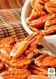 Саджанець Agro-Market Горіх Пекан Meramec саджанець 3 роки (морозостійкий, урожайний сорт) 1 шт. в упаковці (179041) - мініатюра 2