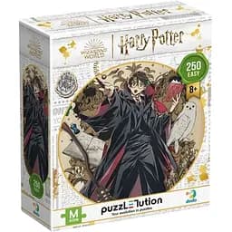 Пазл класичний DoDo Toys Harry Potter Династія чарівників Гаррі 250 елементів (200495)