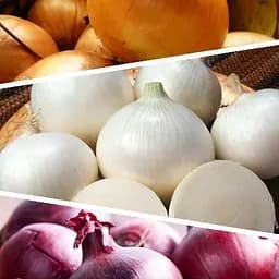 Цибуля "Суміш кращих популярних сортів" ТМ "Весна"  5г (45533)