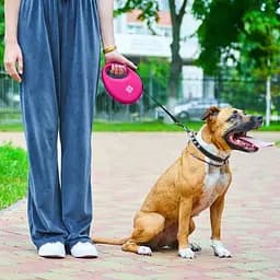 Повідець-рулетка для собак Waudog R-leash з контейнером для пакетів, світловідбивна стрічка, М до 20 кг, 5 м рожевий - мініатюра 8