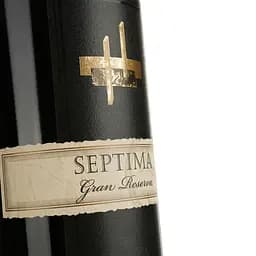 Вино Septima Gran Reserva Luján de Cuyo червоне сухе 0.75 л - мініатюра 3