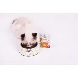 Набір Корм ​​вологий Brit Care Soup Duck д/котів качка суп 75 г 15 шт. - мініатюра 6