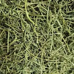 100 г геностема трава сушеная измельченная - свежий урожай