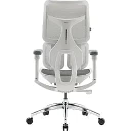 Крісло офісне Sihoo Doro S100 Mesh White (S100-M302) - мініатюра 2