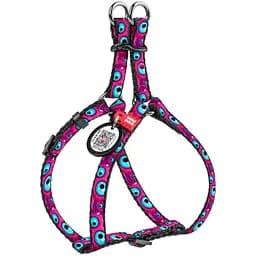 Шлея для кошек и мелких пород собак Waudog Nylon Глаз монстра с QR паспортом XS 28-40x1 см