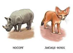 22 картинки. Прогулянка зоопарком - - мініатюра 2