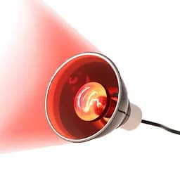 Інфрачервона нагрівальна лампа Repti-Zoo Infrared Heat 50W (R63050) - мініатюра 6