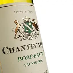 Вино Grands Vins de Gironde Chantecaille Bordeaux Blanc, біле, сухе, 11,5%, 0,75 л - мініатюра 3