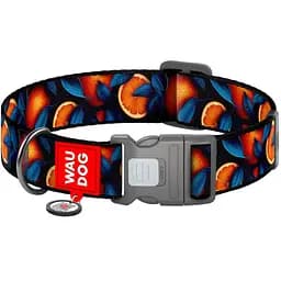 Нашийник для собак нейлоновий Waudog Nylon з QR паспортом малюнок Апельсини XXL
