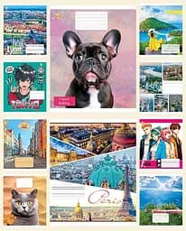 Тетради ученические 24 листа линия Твердая ТЕ42302 Микс2, 20 шт. в упаковке