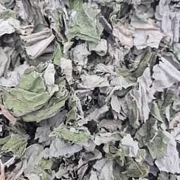 100 г белокопытень трава сушеная измельченная- свежий урожай