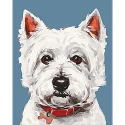 Картина за номерами ArtCraft Вайт тер'єр 40x50 см (11652-AC)