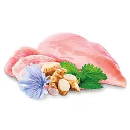 Уцінка. Сухий корм для кошенят Home Food Fresh з куркою 1.6 кг - мініатюра 3