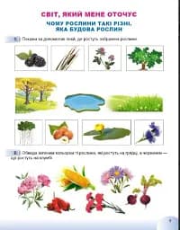 Я досліджую світ 1 клас. Робочий зошит з інтегрованого курсу. Частина 2 - мініатюра 2