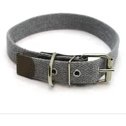 Нашийник для собак Zoo-hunt брезентовий 2,5 см 33-44 см сірий