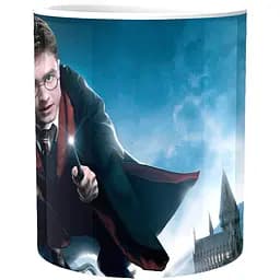 Кружка GeekLand Harry Potter Гарри Поттер в полете HP.02.047