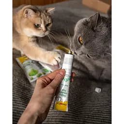 Паста GimCat Expert Line Gastro Intestinal для котів 50 г - мініатюра 5