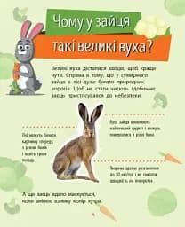 Чомусики. Тварини - мініатюра 4