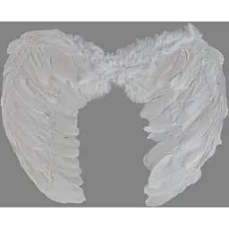 Крылья ангела