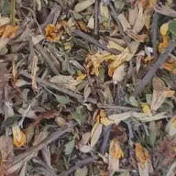 100 г ракитник трава сушеная