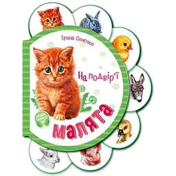 Книга Малята на подвір'ї + Аудіо-бонус. Автор - Ірина Сонечко (Ранок)