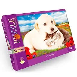 Пазл Friendship 2000 ел. Danko Toys 5х35х29 см det0012520