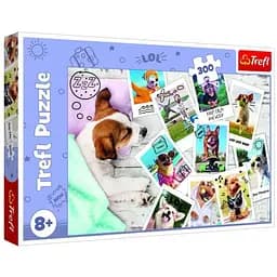 Пазл Trefl Летние картинки Собачки коллаж 300 эл. (23003)
