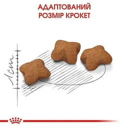 Сухий корм для кошенят після стерилізації Royal Canin Kitten Sterilised 0.4 кг - мініатюра 4