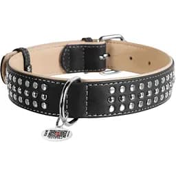 Ошейник для собак Waudog Soft, кожаный, с металлическим украшением, с QR паспортом, 57-71х3,5 см, черный