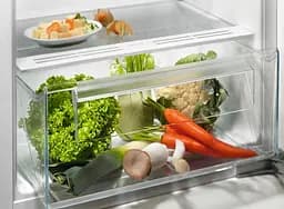 Холодильник Electrolux LRB3AE12S - мініатюра 3