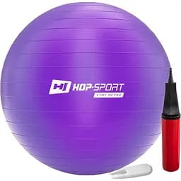 Фітбол Hop-Sport HS-R065YB з насосом 65 см фіолетовий