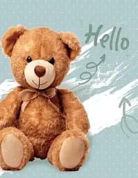 Альбом UFO PP-46200 Hello bear 10х15х200см (PP-46200 Hello bear)