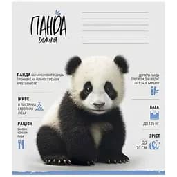 Зошит учнівський "Wild world" Школярик 012-3279К 12 аркушів (482000647043203279)(SC)