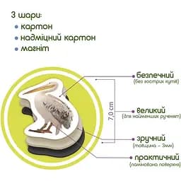 Набір магнітів Magdum Птахи ML4031-30 EN - мініатюра 6