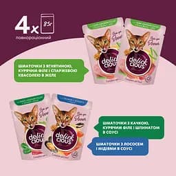 Набір корм вологий для котів Delickcious Набір №3 340 г (85 г х 4 шт.) - мініатюра 5