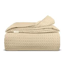Плед-покривало Cosas Waffle Weave Avori 75х95 см (Blanket_68Avori_WaffleWeave_75x95)