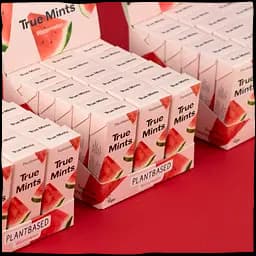 Цукерки True Mints м'ятні зі смаком кавуна 13 г - мініатюра 3