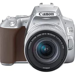 Зеркальный фотоаппарат Canon EOS 250D Kit 18-55mm EF-S IS STM Silver (3461C003) [117728]