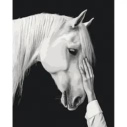 Картина за номерами на підрамнику Brushme Білий міраж