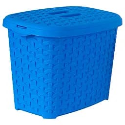 Кошик Diomedea з кришкою блакитний 2.5 л (К6-439)