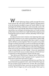 The Adventures of Huckleberry Finn - мініатюра 8