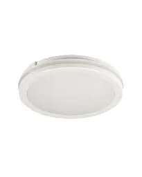 Уличный светильник Kanlux 38384 BENO ECO LED 1x30 3000K/4000K/6500K 2850/3150/3050Lm IP65 белый