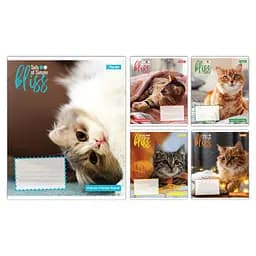 Набір зошитів 1 вересня Bliss А5, 12 аркушів 25 шт. (768051)