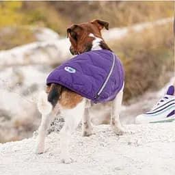 Жилет Pet Fashion E.Vest для собак, розмір L, фіолетовий - мініатюра 5